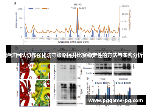 通过团队协作强化防守策略提升比赛稳定性的方法与实践分析