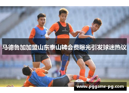 马德鲁加加盟山东泰山转会费曝光引发球迷热议 马德鲁加加盟山东泰山转会费曝光引发球迷热议