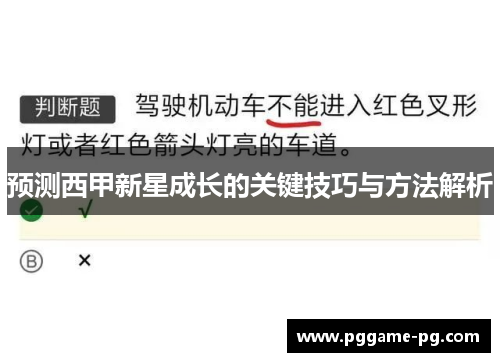 预测西甲新星成长的关键技巧与方法解析 预测西甲新星成长的关键技巧与方法解析