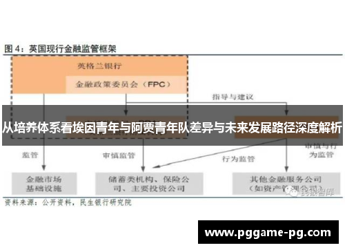 从培养体系看埃因青年与阿贾青年队差异与未来发展路径深度解析 从培养体系看埃因青年与阿贾青年队差异与未来发展路径深度解析
