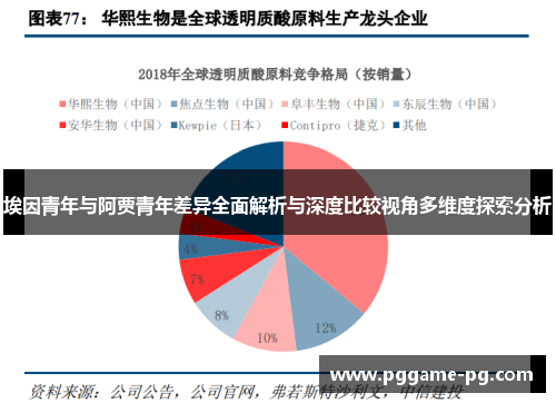埃因青年与阿贾青年差异全面解析与深度比较视角多维度探索分析
