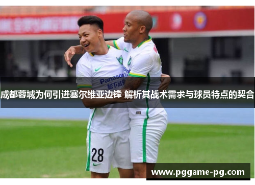 成都蓉城为何引进塞尔维亚边锋 解析其战术需求与球员特点的契合